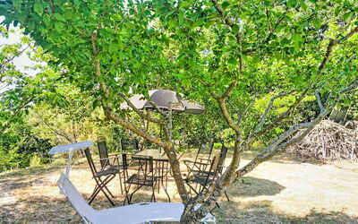 Archi 6: Foglia, Ramo, Mobili Da Esterno, Primavera, Tavolo Esterno, Woody Impianto, Shade, Giardino, Ramoscello, Backyard