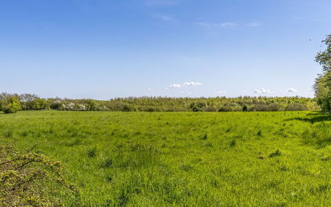 Susianna - 550M from the Sea: Cielo, Blu, Verde, Giorno, Erba, Pascolo, Ambiente Naturale, Vegetazione, Paesaggio Naturale, Ecoregione