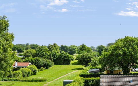 Hélène - 1.1Km from the Sea: Verde, Albero, Erba, Natura, Paesaggio, Arbusto, Pascolo, Lotto, Zona Residenziale