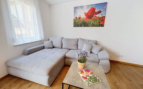 Endingen am Kaiserstuhl 100: Mobilia, Pavimentazione, Pavimento, Interior Design, Pavimento In Legno, Divano, Legna, Soggiorno, Casa, Appartamento