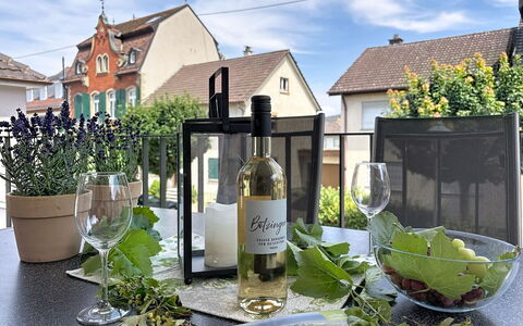 Endingen am Kaiserstuhl 100: Bottiglia, Bottiglia Di Vetro, Bicchiere, Vaso Di Fiori, Bottiglia Di Vino, Pianta Della Casa, Vino