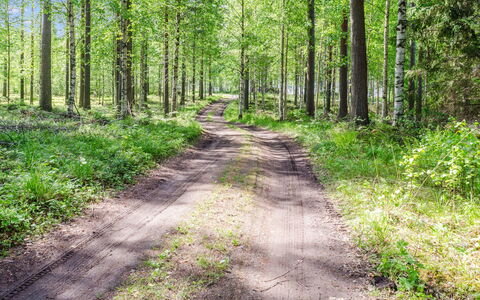 Mäntylä: Mobilia, Sedia, Mobili Da Esterno, Tavolo, Legna, Tavolo Esterno, Cucina & Sala Da Pranzo Tavolo, Shade, Giardino, Ombrello