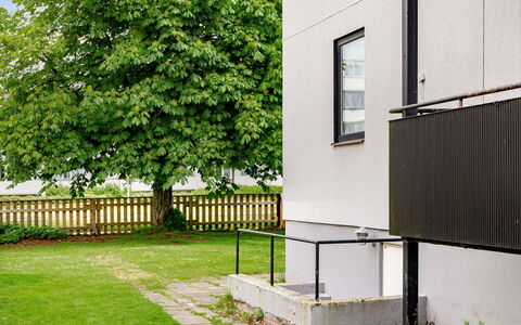 Odal: Parete, Prato, Recinzione, Giardino, Backyard, Home Scherma, Cortile, Shade, Landscaping, Corrimano