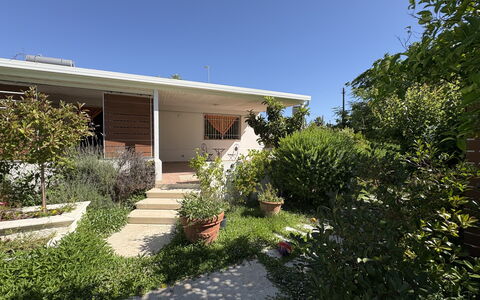 La Dimora di Artemide: Casa, Zona Residenziale, Arbusto, Casa, Giardino, Groundcover, Shade, Cortile, Estate