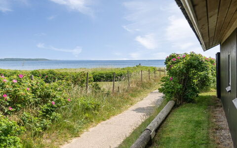 Wiebke - 50M from the Sea: Mare, Costiera E Morfologie Oceanic, Costa, Oceano, Riva, Suono, Baia, Tropici, Spiaggia, Passerella