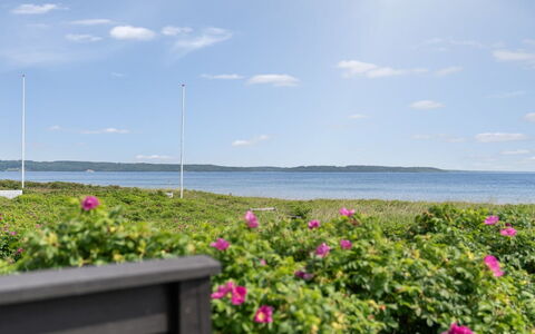 Wiebke - 50M from the Sea: Cielo, Blu, Corpo D'Acqua, Verde, Orizzonte, Costa, Costiera E Morfologie Oceanic, Mare, Oceano, Nube