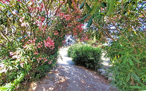 Le Tropique: Ricorrere, Hotel, Resort Citta '