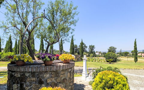 Scarlino 35: Albero, Foglia, Arbusto, Paesaggio, Giardino, Primavera, Woody Impianto, Landscaping, Giardino Botanico