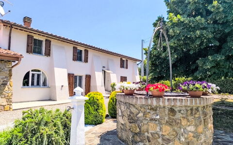 Scarlino 35: Giardino, Hacienda, Landscaping, Cortile, Shade, Vaso Di Fiori, Pianta Della Casa, Cortile, Flagstone, Driveway