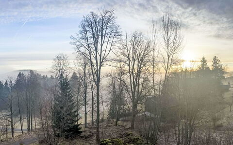 Auszeit für Körper und Seele: Cielo, Ramo, Albero, Natura, Ambiente Naturale, Foglia, Fenomeno Atmosferico, Paesaggio Naturale, Ramoscello, Natura Selvaggia