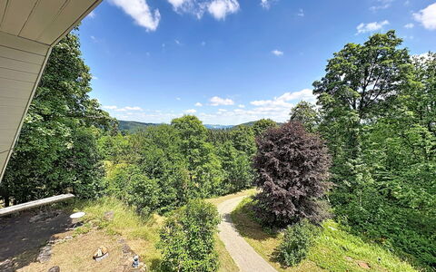 Auszeit für Körper und Seele: Foglia, Albero, Verde, Ambiente Naturale, Natura, Vegetazione, Paesaggio Naturale, Arbusto, Paesaggio, Collina