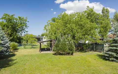 Stefano: Arbusto, Giardino, Shade, Primavera, Prato, Woody Impianto, Cortile, Landscaping, Backyard, Parco