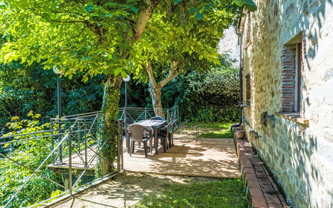 Fibbialla: Primavera, Giardino, Backyard, Shade, Cortile, Recinzione, Bicicletta Forcella, Bicicletta