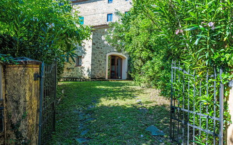 Fibbialla: Arbusto, Giardino, Backyard, Cortile