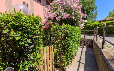 La Molletta: Fiore, Arbusto, Rosa, Giardino, Primavera, Cortile, Landscaping, Backyard, Recinzione