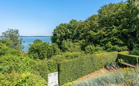 Leea - 100M from the Sea: Blu, Verde, Foglia, Vegetazione, Arbusto, Comunita 'Impianto, Costiera E Morfologie Oceanic, Hedge, Groundcover, Mare
