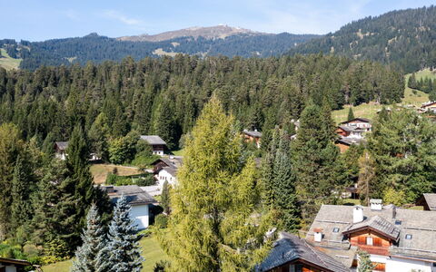 Casa Gronda 2: Albero, Casa, Hill Station, Larice, Foresta, Pendenza, Villetta, Villaggio, Catena Montuosa
