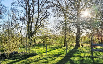 Schlönis Koppelblick