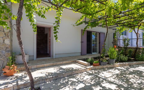 Katarina: Piscina, Zona Residenziale, Terme, Ricorrere, Materiale Composito, Tempo Libero, Estate, Erba Sintetica, Hacienda, Villa
