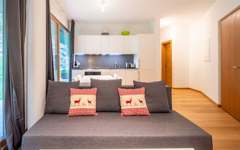 Cuolm Liung Apt. 52: Interior Design, Mobilia, Pavimentazione, Legna, Pavimento, Camera, Divano, Soggiorno, Soffitto, Appartamento