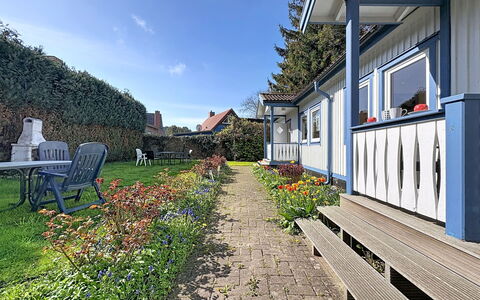 Wiek 200: Arbusto, Casa, Giardino, Groundcover, Prato, Cortile, Shade, Villetta, Estate, Landscaping