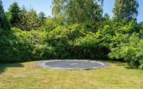 Lagho - 400M from the Sea: Erba, Giardino, Prato, Trampolino, Parco, Shade, Sempreverde