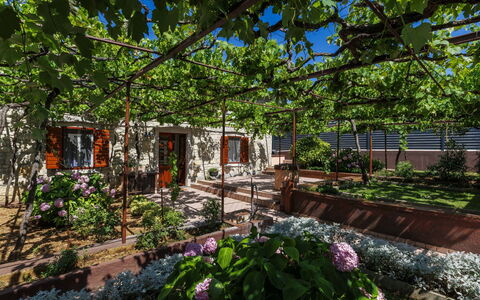 Lado Mediterraneo: Mobilia, Mobili Da Esterno, Sedia, Shade, Tavolo Esterno, Pianta Della Casa, Terrazza, Cortile, Design, Balcone