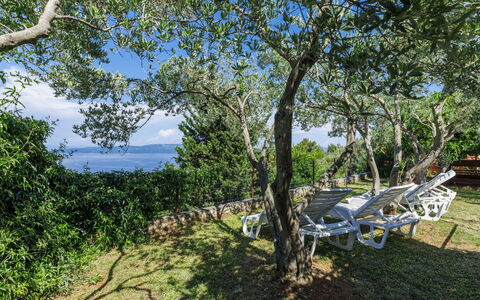 Lado Mediterraneo: Mobilia, Mobili Da Esterno, Sedia, Shade, Tavolo Esterno, Pianta Della Casa, Terrazza, Cortile, Design, Balcone