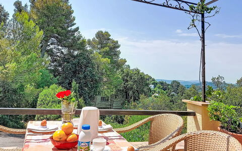 Grenouille: Mobilia, Mobili Da Esterno, Sedia, Giardino, Color Legno, Prato, Latifoglie, Shade, Backyard