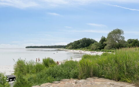 Toivo - 300M from the Sea: Costa, Costiera E Morfologie Oceanic, Spiaggia, Riva, Banca, Mare, Oceano, Baia, Tropici, Sabbia