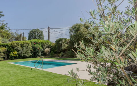 Matagalls: Mobilia, Sedia, Interior Design, Tavolo, Camera, Color Legno, Balcone, Soffitto, Eco Hotel, Latifoglie