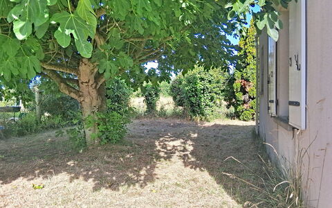 Arceau 3: Mobilia, Mobili Da Esterno, Sedia, Giardino, Color Legno, Prato, Latifoglie, Shade, Backyard