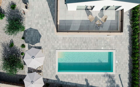 Divine: Mobilia, Mobili Da Esterno, Sedia, Giardino, Color Legno, Prato, Latifoglie, Shade, Backyard