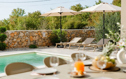 Divine: Mobilia, Mobili Da Esterno, Sedia, Giardino, Color Legno, Prato, Latifoglie, Shade, Backyard