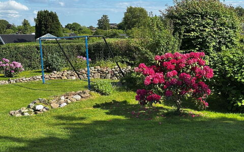 Snioulf - 800M from the Sea: Arbusto, Giardino, Prato, Rosa, Groundcover, Primavera, Woody Impianto, Landscaping