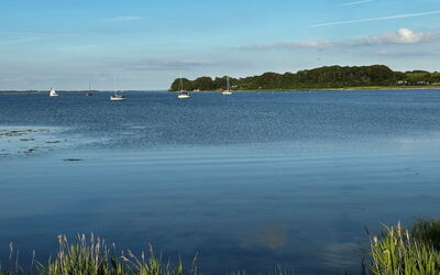 Snioulf - 800M from the Sea