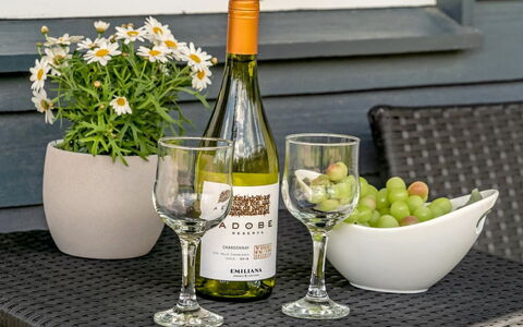 Skakke - 350M to the Fjord: Bottiglia, Tavola, Bicchieri, Mobilia, Tavolo, Bottiglia Di Vetro, Vino, Stemware