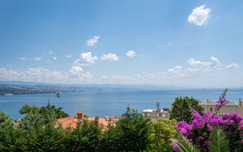 Salvia: Zona Residenziale, Appartamento, Estate, Ricorrere, Dimora, Balcone, Villa, Piscina