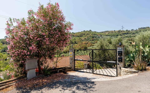 Orto di Silvia: Arbusto, Giardino, Recinzione, Pole, Landscaping, Home Scherma