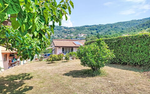Ricordi: Mobilia, Interior Design, Pavimentazione, Pavimento, Pavimento In Legno, Legna, Sedia, Soffitto, Cucina & Sala Da Pranzo Tavolo, Tavolo