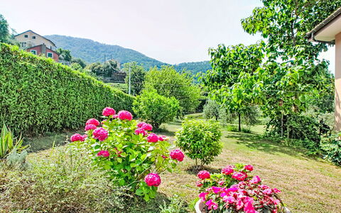 Ricordi: Mobilia, Interior Design, Pavimentazione, Pavimento, Pavimento In Legno, Legna, Sedia, Soffitto, Cucina & Sala Da Pranzo Tavolo, Tavolo