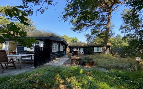 Armund - 50M from the Sea: Villetta, Casa, Casa, Tetto, Area Rurale, Thatching, Shade, Edifici Giardino, Cortile, Log Cabin