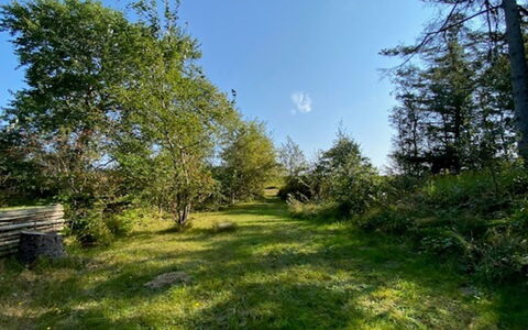 Armund - 50M from the Sea: Cielo, Blu, Erba, Foglia, Ambiente Naturale, Verde, Natura, Ramo, Vegetazione, Paesaggio Naturale