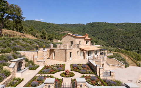 Villa Maddalena alla Guglielmesca: Arbusto, Estate, Giardino, Landscaping, Villetta, Agriturismo, Villa, Dimora, Villaggio, Hacienda