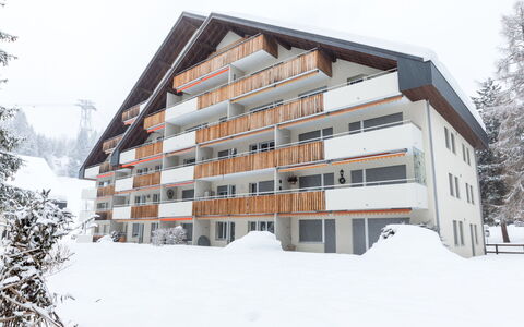 Val Signina 2-9: Neve, Inverno, Congelamento, Geomorfologia Glaciale, Calotta Di Ghiaccio, Alpi, Ghiaccio
