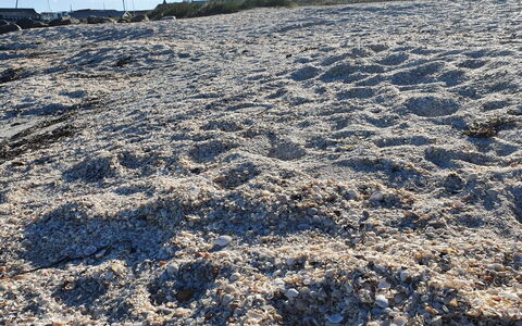 Gundula - 1.3Km from the Sea: Geologia, Suolo, Sabbia, Inverno