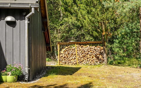 Laris - from the Sea: Legna, Area Rurale, Giardino, Capannone, Groundcover, Edifici Giardino, Backyard, Villetta, Baracca, Log Cabin