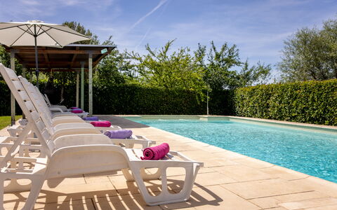 Il Cipresso, Casa dei Nonni, Cortona: Piscina, Mobili Da Esterno, Mobilia, Materiale Composito, Giardino, Shade, Ricorrere, Ombrello, Landscaping, Sedia