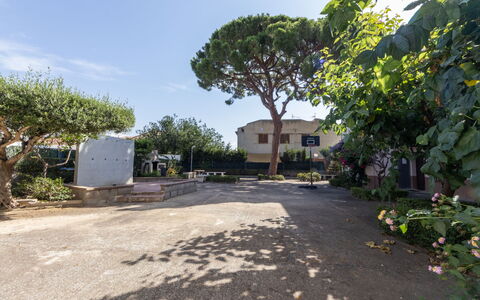 Rosa Dels Vents: Manto Stradale, Arbusto, Spazio Pubblico, Zona Residenziale, Insediamento Umano, Shade, Giardino, Driveway, Landscaping, Cortile