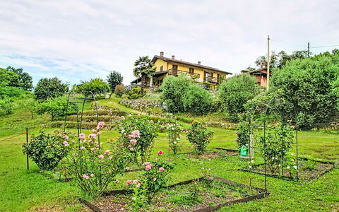 Bb10 Oasi: Costruzione, Parete, Finestra, Zona Residenziale, Quartiere, Facciata, Casa, Cittadina, Casa, Balcone
